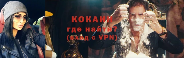 дживик Кукмор