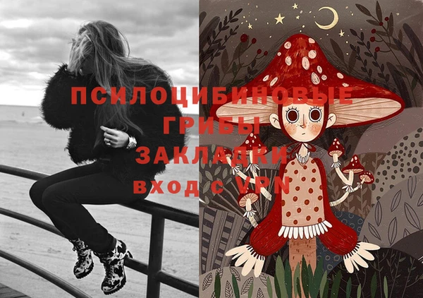 СК Кулебаки