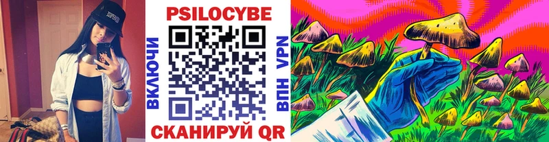 Галлюциногенные грибы Cubensis Купить где Иннополис